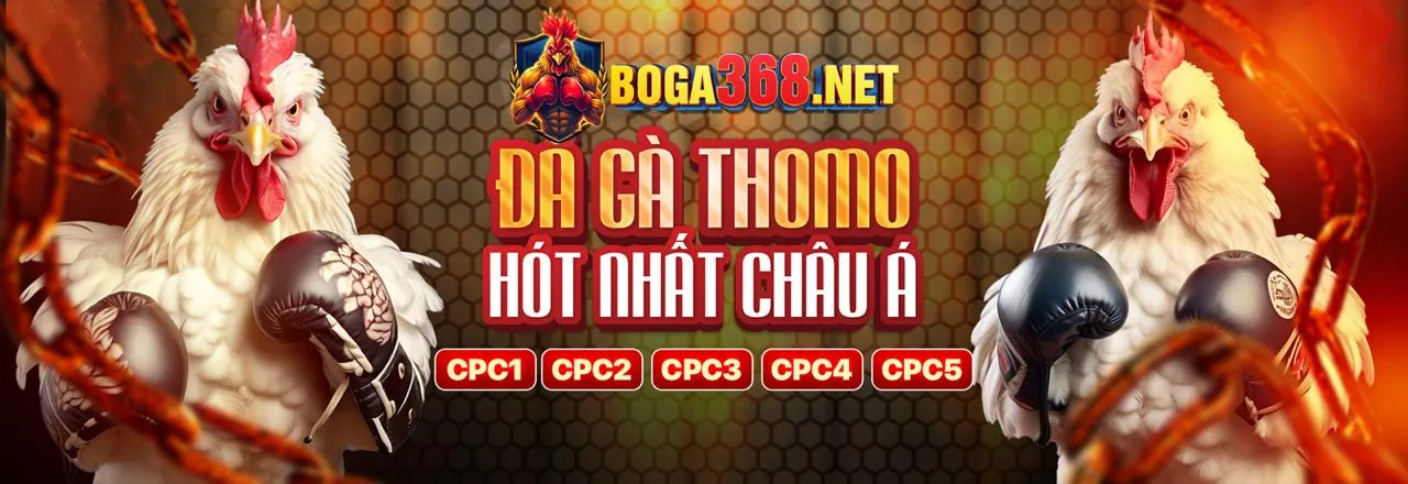 Sân đá gà trực tuyến kịch tính tại 6ff10