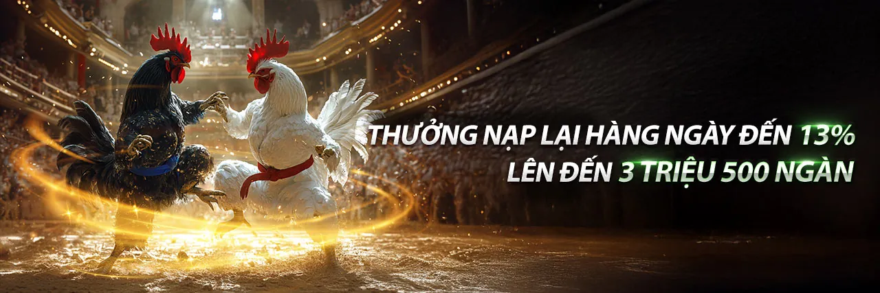 Trực Tiếp Đá Gà 29/5 - Sân khấu đá gà kịch tính